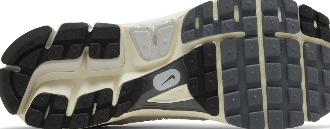 Vomero Tint Nike Platinum Zoom 5 0809